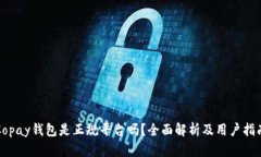 Copay钱包是正规平台吗？全面解析及用