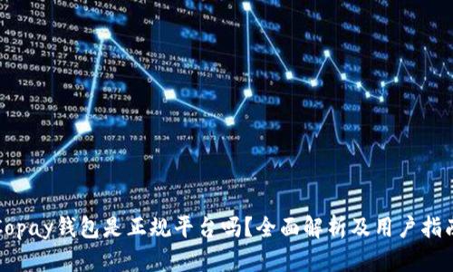 Copay钱包是正规平台吗？全面解析及用户指南