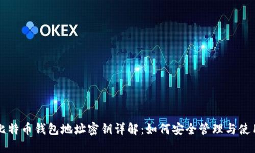 比特币钱包地址密钥详解：如何安全管理与使用