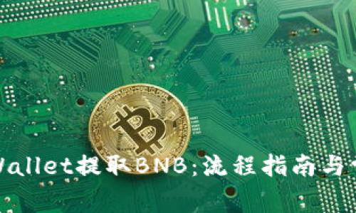 如何使用tpWallet提取BNB：流程指南与常见问题解答